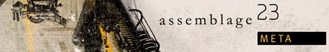 Assemblage 23